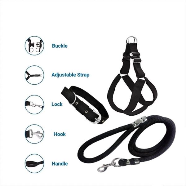 Dog Combo Pack – Harness, Neck Collar Belt, and Leash Set (Black, Medium, Waterproof, 1.5M-2M Rope) - Image 2