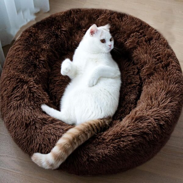 Round Donut Pet Bed – Cozy, Plush, and Washable for Cats & Small Dogs