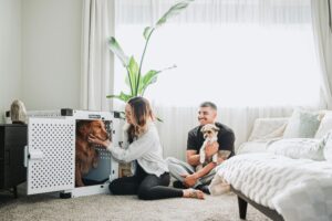 A young couple enjoys a relaxed day at home with their dogs, highlighting pet safety and companionship.